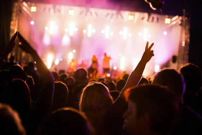 Photo de foule dans une salle de concert